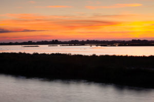 Petit Camargue bei Sonnenuntergang, Department Gard, Languedoc-Roussillon, Südfrankreich, Frankreich Petit Camargue bei Sonnenuntergang, Department Gard, Languedoc-Roussillon, Südfrankreich, Frankreich